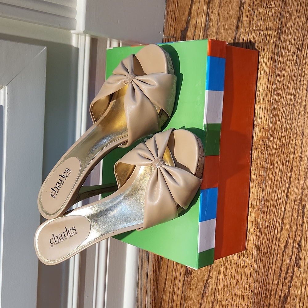 Charles By Charles David Platform Mule Sandal - image 1